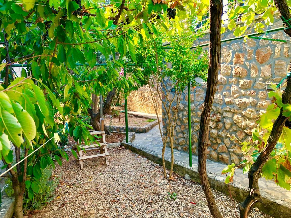 קאלי Villa Dinastija מראה חיצוני תמונה
